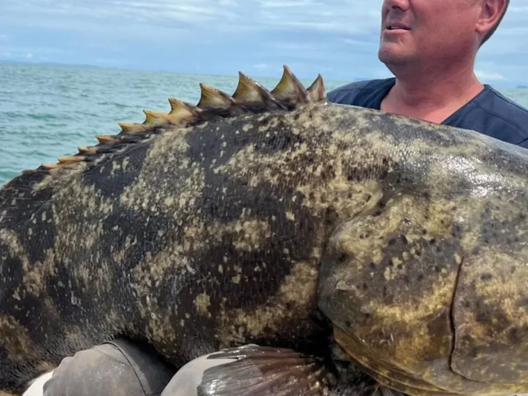 Guyane Pêche Nature, sorties de pêche en Guyane